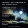 Full Moon Rituals for the Harvest Moon | Sanctuary Everlasting