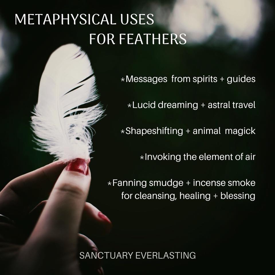 native american feathers meanings