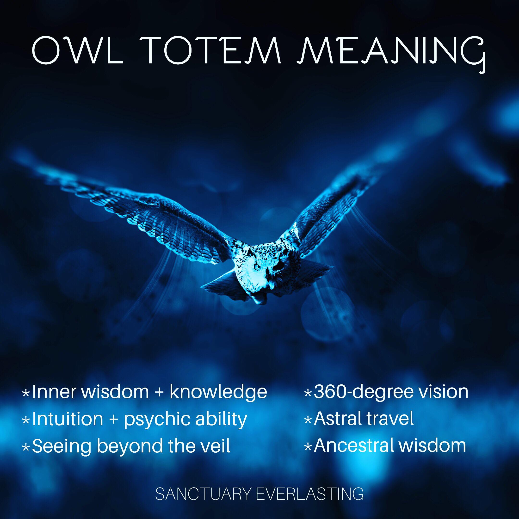 Hawk Symbolism & Spiritual Meanings Of Hawk Spirit Animal