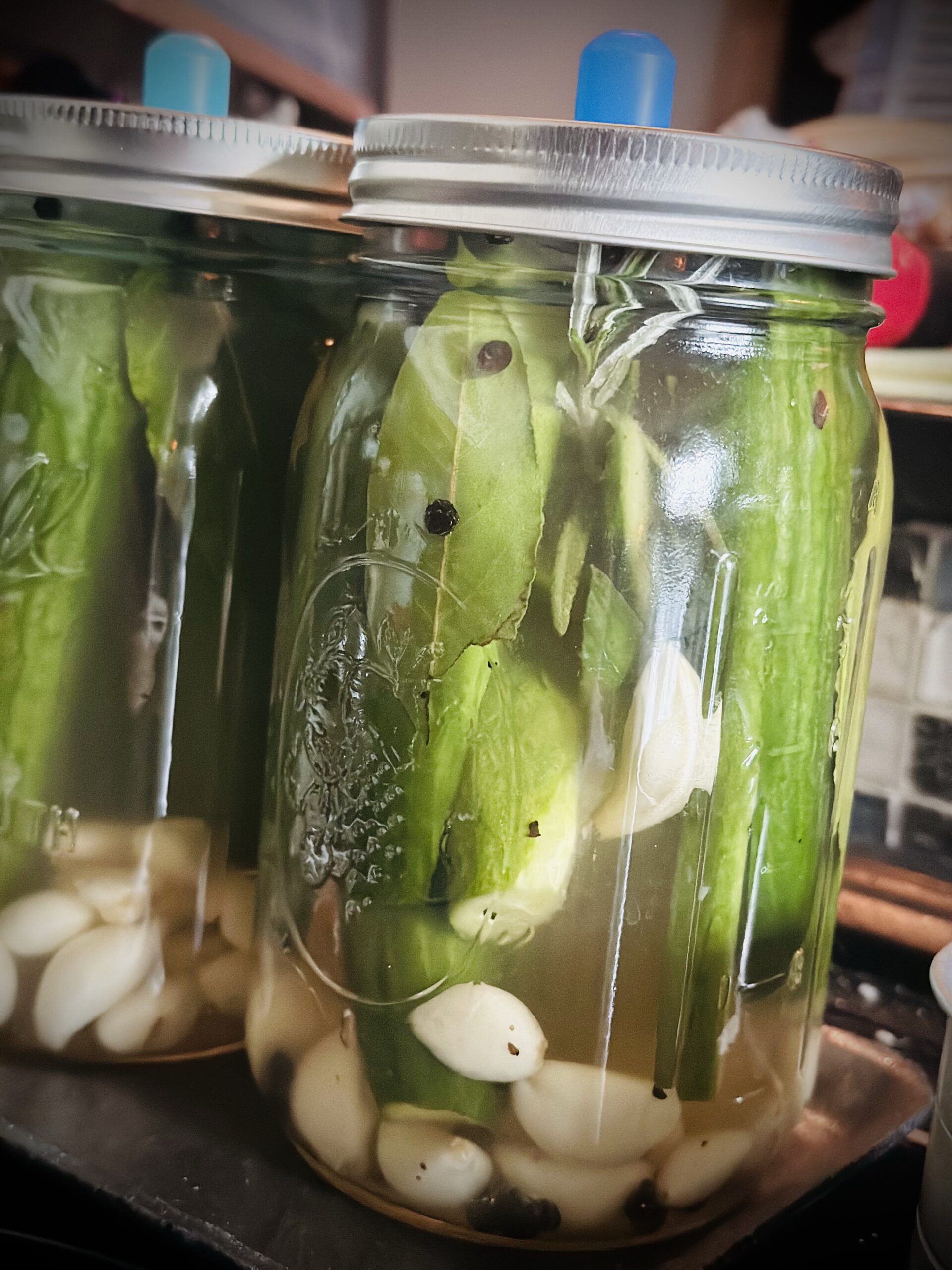 Easy lacto-fermented pickle recipe - Sanctuary Everlasting